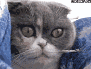 11 thoughts which were all during exams for driving licences