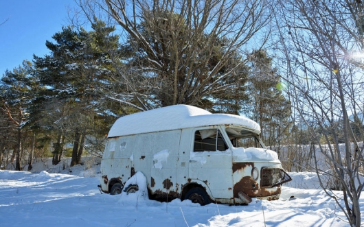 The beauty of the rusting bodies: pictures of car abandoned