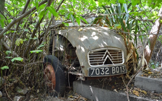The beauty of the rusting bodies: pictures of car abandoned