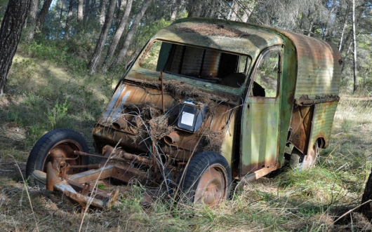 The beauty of the rusting bodies: pictures of car abandoned