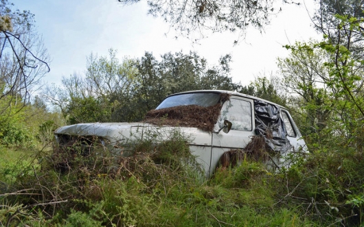 The beauty of the rusting bodies: pictures of car abandoned
