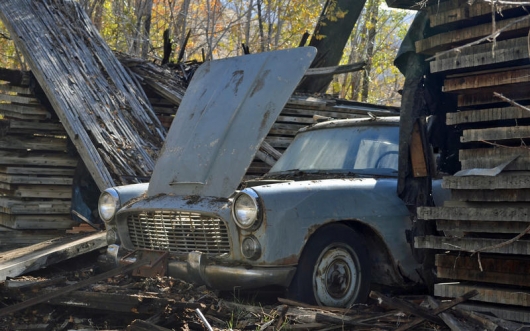 The beauty of the rusting bodies: pictures of car abandoned