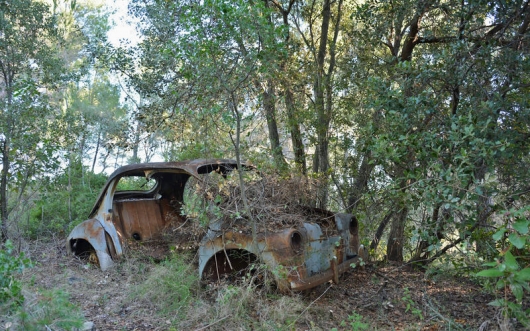 The beauty of the rusting bodies: pictures of car abandoned