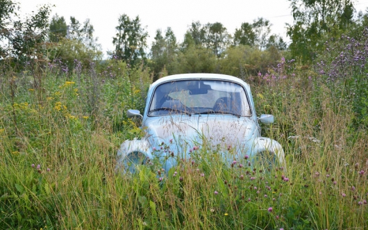 The beauty of the rusting bodies: pictures of car abandoned